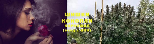 прущие грибы Арсеньев