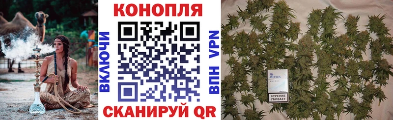 купить   blacksprut   Бошки марихуана SATIVA & INDICA  Голицыно 